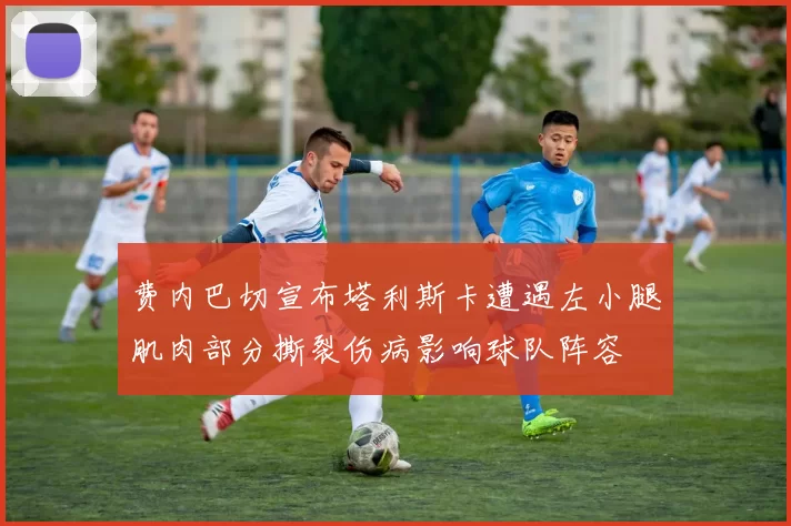 费内巴切宣布塔利斯卡遭遇左小腿肌肉部分撕裂伤病影响球队阵容